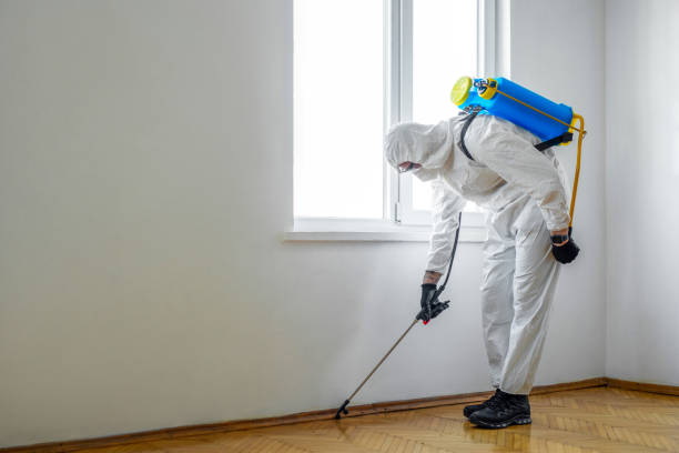 Trusted Oregon, IL Pest Control Experts
