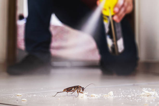 Flea Control Services in Oregon, IL