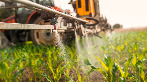 Best Pest Prevention Services  in Oregon, IL