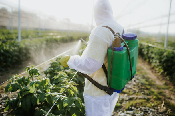 Best Pest Control Near Me  in Oregon, IL